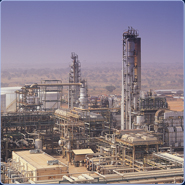 Case Studies Case Studies
